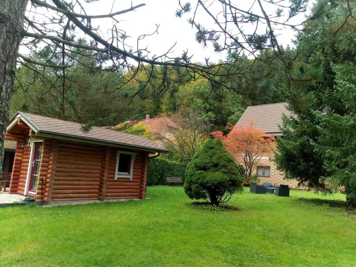 Haus Am Wolfsbach Lägenhet Zorge Exteriör bild
