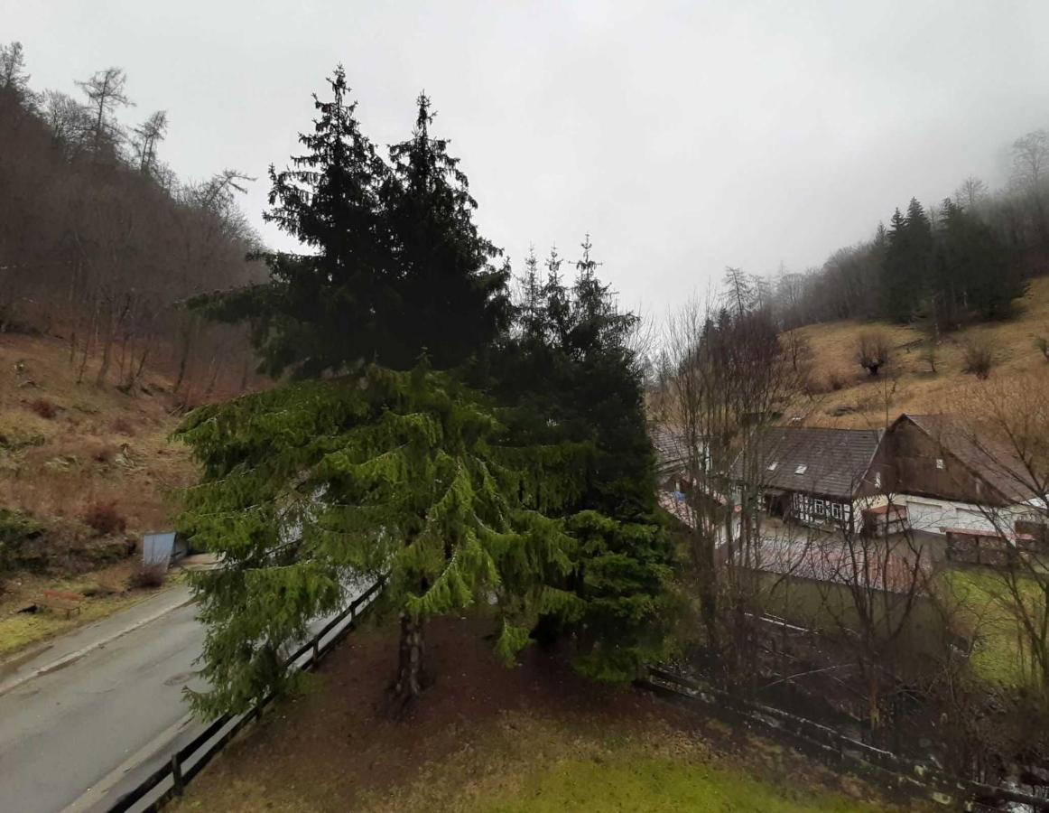 Haus Am Wolfsbach Lägenhet Zorge Exteriör bild